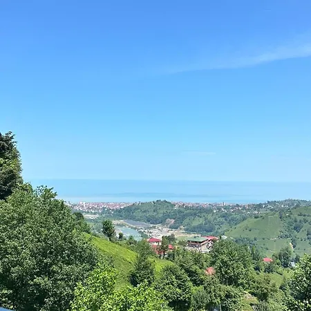 Impuli